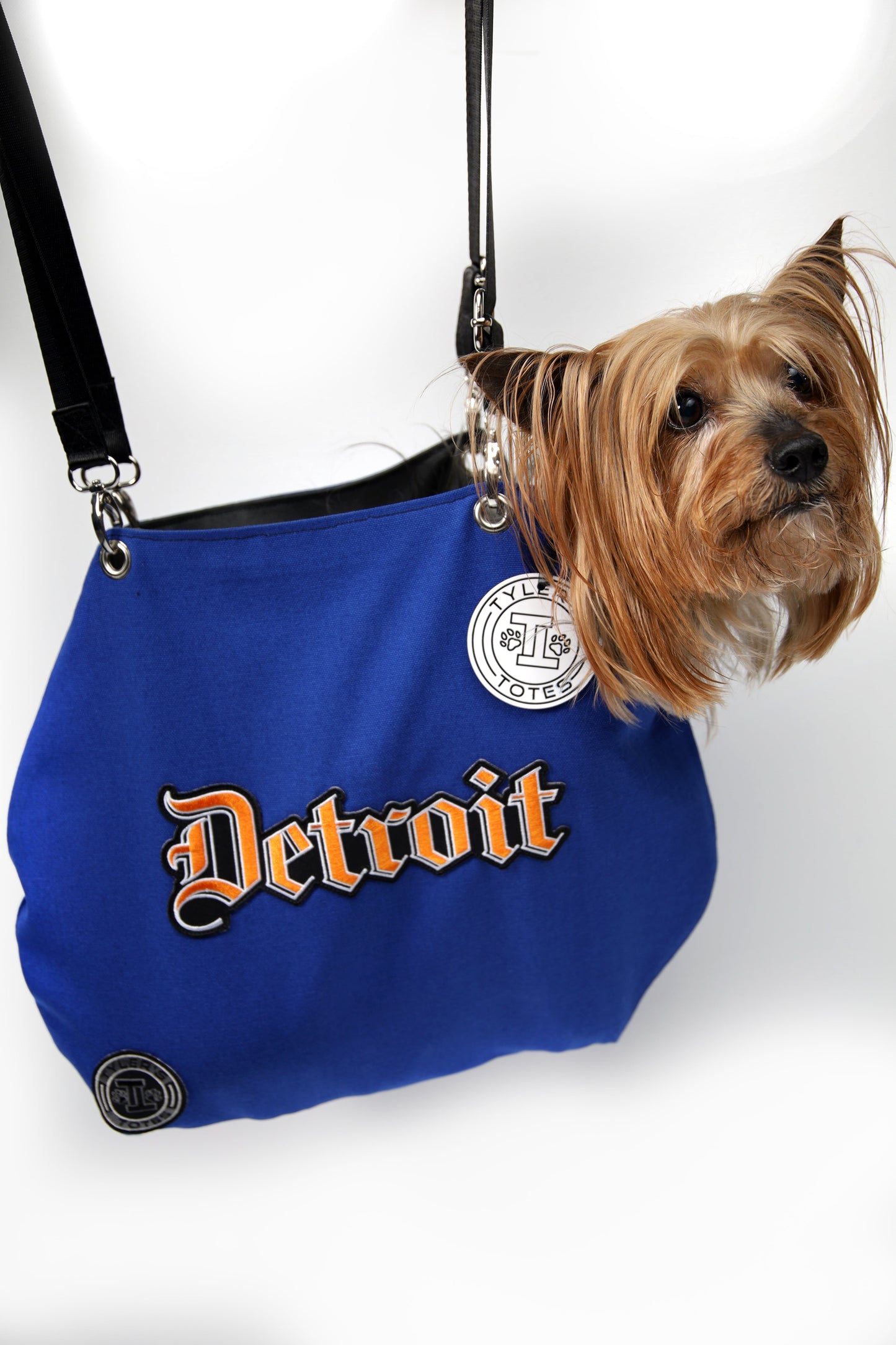 Dog peeking out from a blue bag with 'Detroit' text on a white background